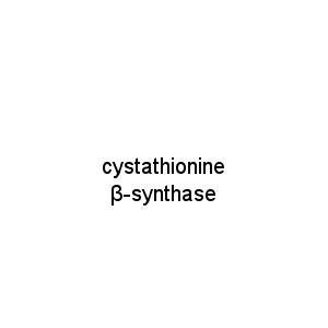 cystathionine β-synthase